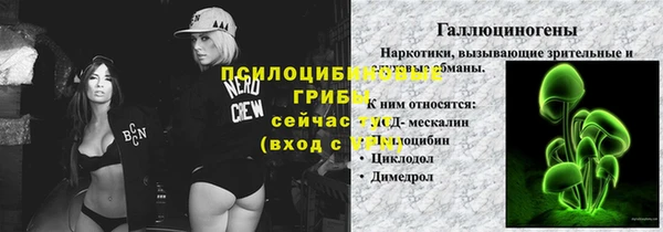 ГАЛЛЮЦИНОГЕННЫЕ ГРИБЫ Абинск